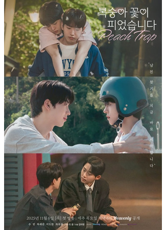 дорама Цветение персика (Peach Trap: Boksunga Kkochi Pieossseubnida) 26.10.25