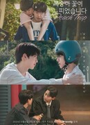 Цветение персика