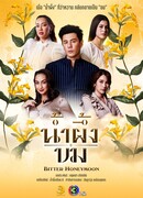 Горький мёд (2025)