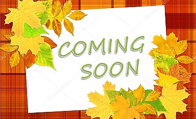 Корейские премьеры в ноябре 2025 года