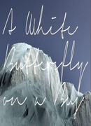 Белая бабочка в автобусе