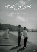 Истинные цвета