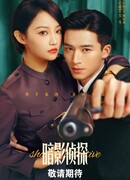 Теневой детектив