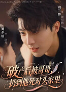 Мой роман о банкротстве