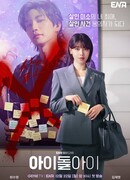 Адвокат айдола