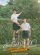 Когда падают апельсины