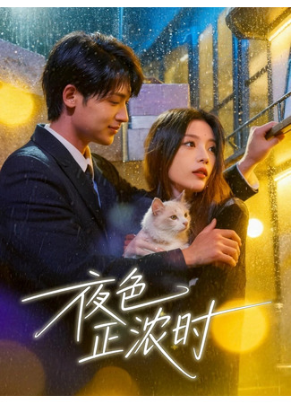 дорама Когда сгущается ночь (Ye Se Zheng Nong Shi: 夜色正浓时) 04.12.25