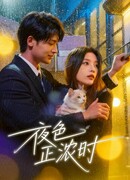 Когда сгущается ночь